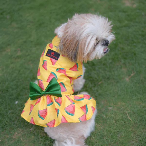 PraniMart Watermelon Surgar Dress for Dogs (Yellow)