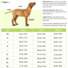 PraniMart Watermelon Surgar Dress for Dogs (Yellow)