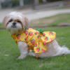 PraniMart Watermelon Surgar Dress for Dogs (Yellow)