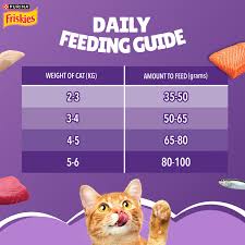 PraniMart Tuna and Salmon 1 kg Dry Adult Cat Food
