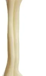PraniMart Small White Bone Nylon Chew Toy For Dog