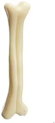 PraniMart Small White Bone Nylon Chew Toy For Dog