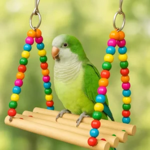 PraniMart Excercise Perch Bird